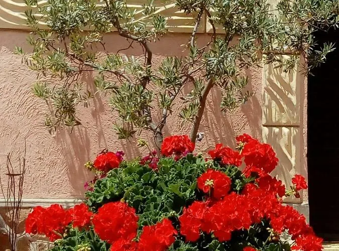 - Quarto Del Cuore Farm stay Rome